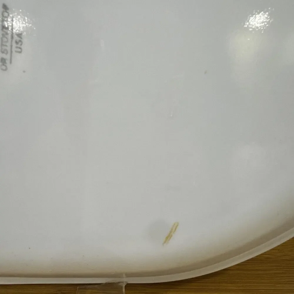 Vtg Corelle Silk & Roses 12 1/4